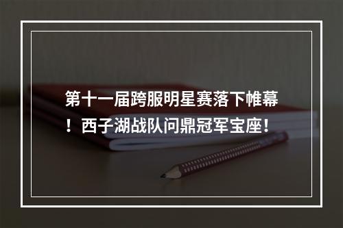 第十一届跨服明星赛落下帷幕！西子湖战队问鼎冠军宝座！