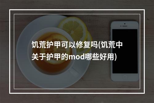 饥荒护甲可以修复吗(饥荒中关于护甲的mod哪些好用)