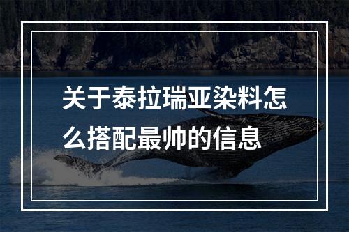 关于泰拉瑞亚染料怎么搭配最帅的信息