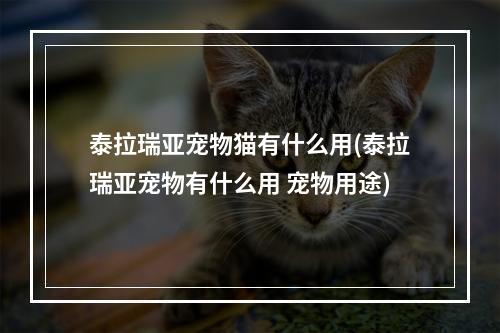 泰拉瑞亚宠物猫有什么用(泰拉瑞亚宠物有什么用 宠物用途)