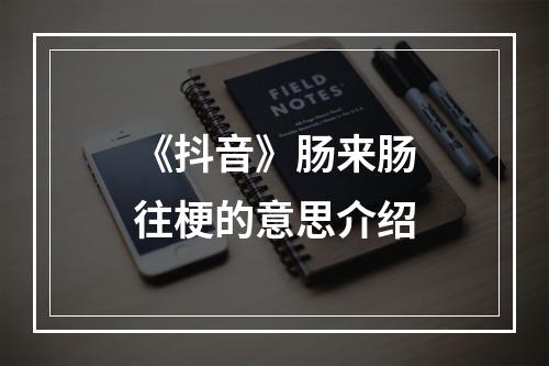 《抖音》肠来肠往梗的意思介绍