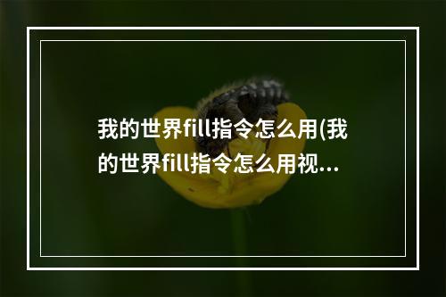 我的世界fill指令怎么用(我的世界fill指令怎么用视频)