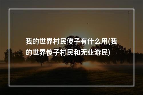 我的世界村民傻子有什么用(我的世界傻子村民和无业游民)