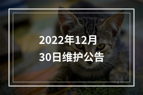 2022年12月30日维护公告