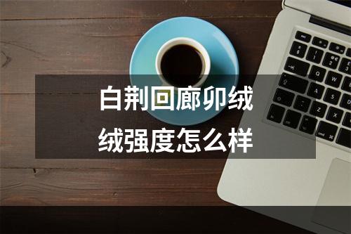 白荆回廊卯绒绒强度怎么样