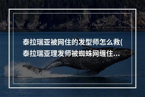 泰拉瑞亚被网住的发型师怎么救(泰拉瑞亚理发师被蜘蛛网缠住图片)