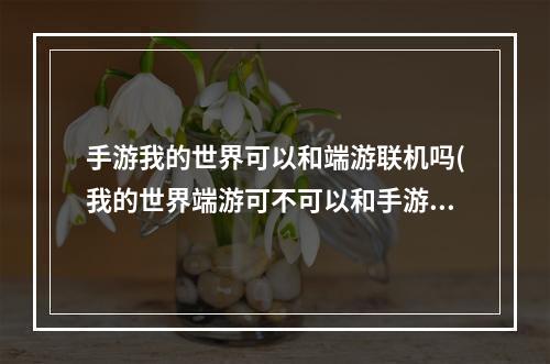 手游我的世界可以和端游联机吗(我的世界端游可不可以和手游联机)