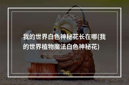 我的世界白色神秘花长在哪(我的世界植物魔法白色神秘花)