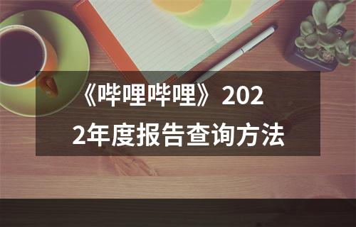 《哔哩哔哩》2022年度报告查询方法