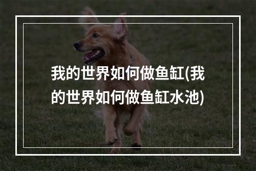 我的世界如何做鱼缸(我的世界如何做鱼缸水池)