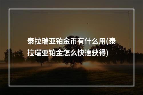 泰拉瑞亚铂金币有什么用(泰拉瑞亚铂金怎么快速获得)