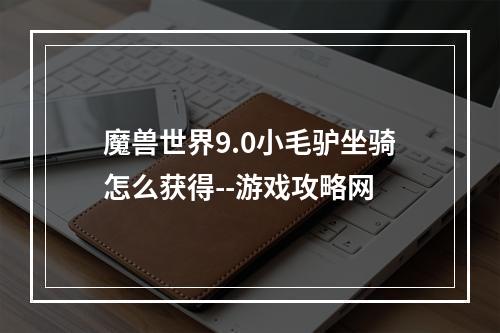 魔兽世界9.0小毛驴坐骑怎么获得--游戏攻略网