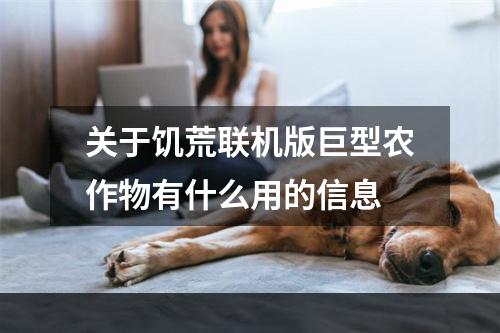 关于饥荒联机版巨型农作物有什么用的信息