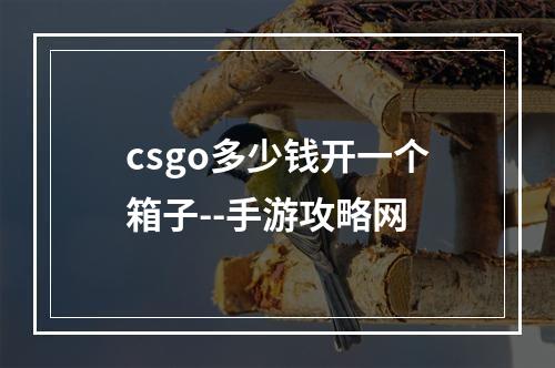 csgo多少钱开一个箱子--手游攻略网