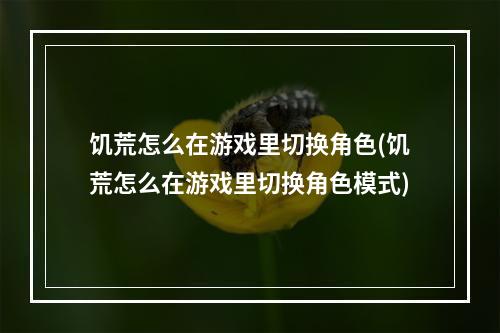 饥荒怎么在游戏里切换角色(饥荒怎么在游戏里切换角色模式)