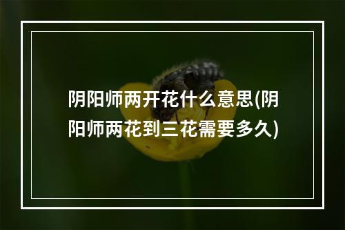 阴阳师两开花什么意思(阴阳师两花到三花需要多久)