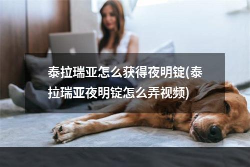 泰拉瑞亚怎么获得夜明锭(泰拉瑞亚夜明锭怎么弄视频)