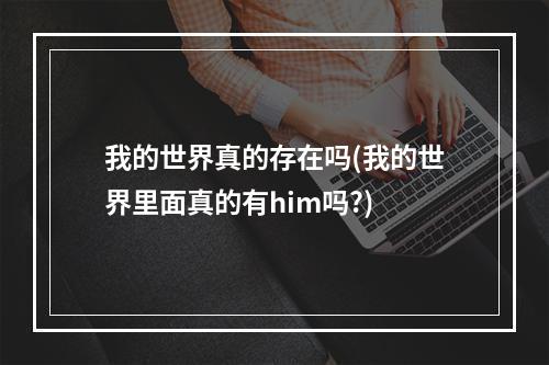 我的世界真的存在吗(我的世界里面真的有him吗?)