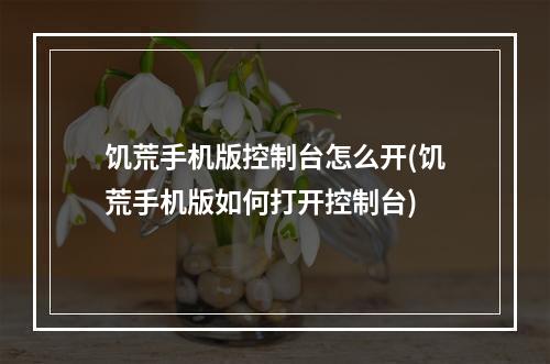 饥荒手机版控制台怎么开(饥荒手机版如何打开控制台)