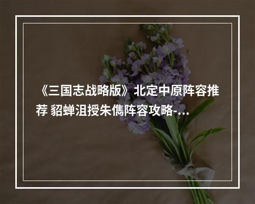 《三国志战略版》北定中原阵容推荐 貂蝉沮授朱儁阵容攻略--手游攻略网