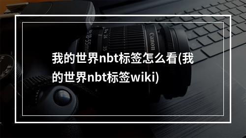 我的世界nbt标签怎么看(我的世界nbt标签wiki)