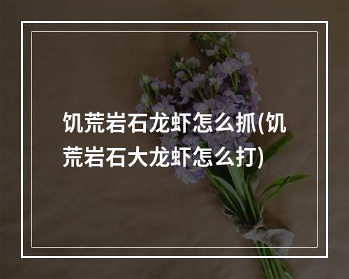 饥荒岩石龙虾怎么抓(饥荒岩石大龙虾怎么打)