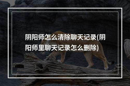 阴阳师怎么清除聊天记录(阴阳师里聊天记录怎么删除)