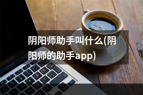 阴阳师助手叫什么(阴阳师的助手app)