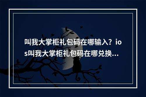 叫我大掌柜礼包码在哪输入？ios叫我大掌柜礼包码在哪兑换[多图]--安卓攻略网