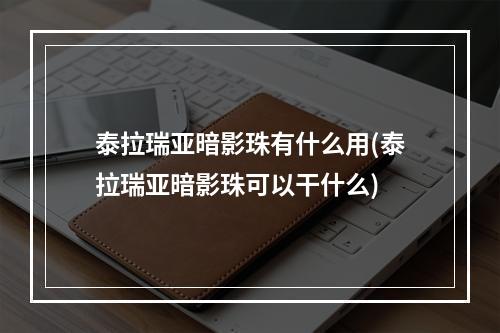 泰拉瑞亚暗影珠有什么用(泰拉瑞亚暗影珠可以干什么)