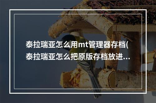 泰拉瑞亚怎么用mt管理器存档(泰拉瑞亚怎么把原版存档放进tmod)