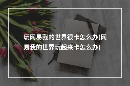 玩网易我的世界很卡怎么办(网易我的世界玩起来卡怎么办)