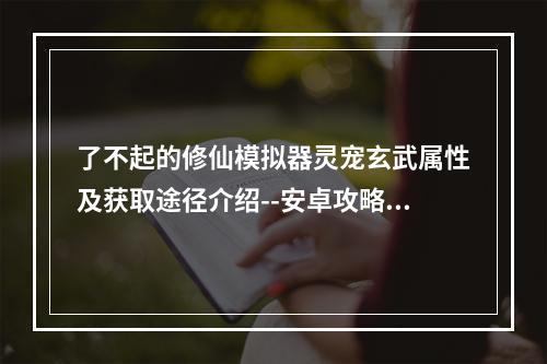 了不起的修仙模拟器灵宠玄武属性及获取途径介绍--安卓攻略网