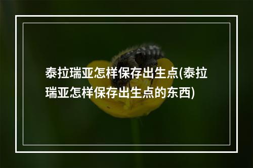 泰拉瑞亚怎样保存出生点(泰拉瑞亚怎样保存出生点的东西)