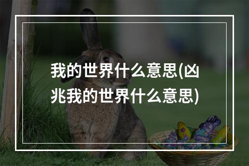 我的世界什么意思(凶兆我的世界什么意思)