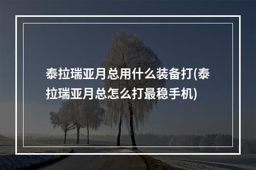 泰拉瑞亚月总用什么装备打(泰拉瑞亚月总怎么打最稳手机)