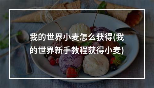 我的世界小麦怎么获得(我的世界新手教程获得小麦)