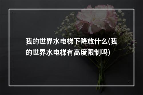 我的世界水电梯下降放什么(我的世界水电梯有高度限制吗)