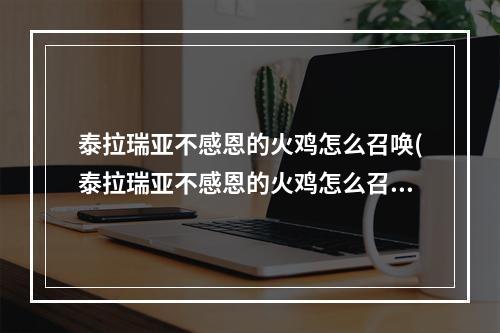 泰拉瑞亚不感恩的火鸡怎么召唤(泰拉瑞亚不感恩的火鸡怎么召唤13)