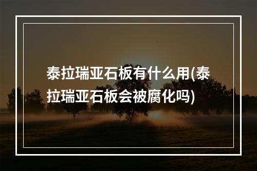 泰拉瑞亚石板有什么用(泰拉瑞亚石板会被腐化吗)