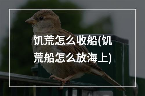 饥荒怎么收船(饥荒船怎么放海上)