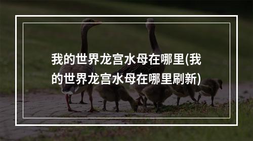 我的世界龙宫水母在哪里(我的世界龙宫水母在哪里刷新)