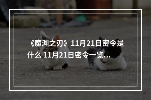 《魔渊之刃》11月21日密令是什么 11月21日密令一览--安卓攻略网