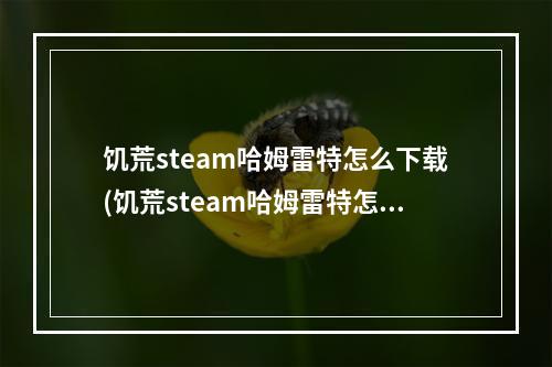 饥荒steam哈姆雷特怎么下载(饥荒steam哈姆雷特怎么下载不了)