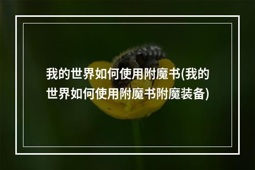 我的世界如何使用附魔书(我的世界如何使用附魔书附魔装备)