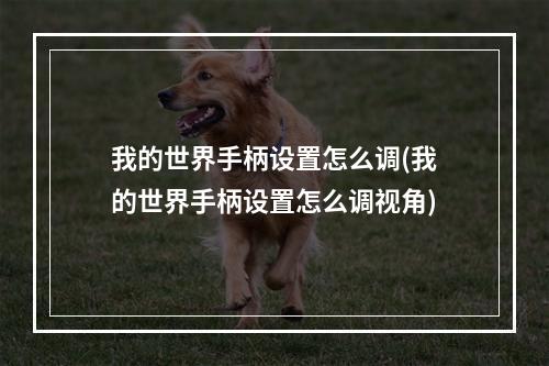 我的世界手柄设置怎么调(我的世界手柄设置怎么调视角)