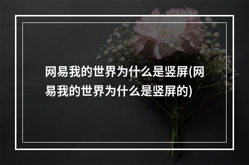 网易我的世界为什么是竖屏(网易我的世界为什么是竖屏的)