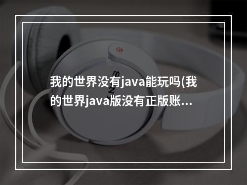 我的世界没有java能玩吗(我的世界java版没有正版账号怎么进服务器?)