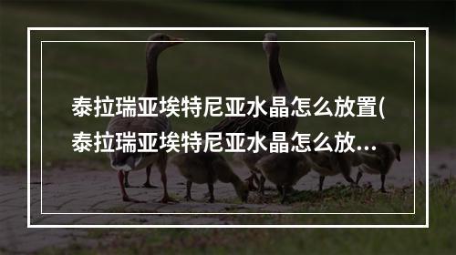 泰拉瑞亚埃特尼亚水晶怎么放置(泰拉瑞亚埃特尼亚水晶怎么放进去)