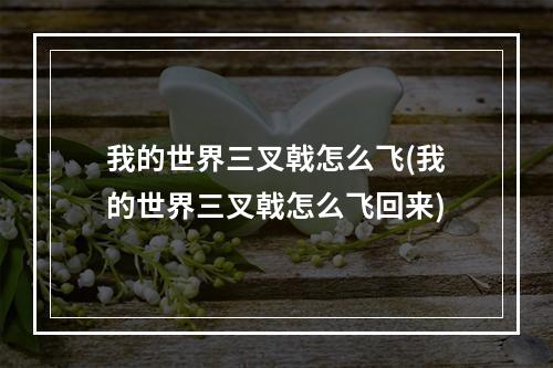 我的世界三叉戟怎么飞(我的世界三叉戟怎么飞回来)